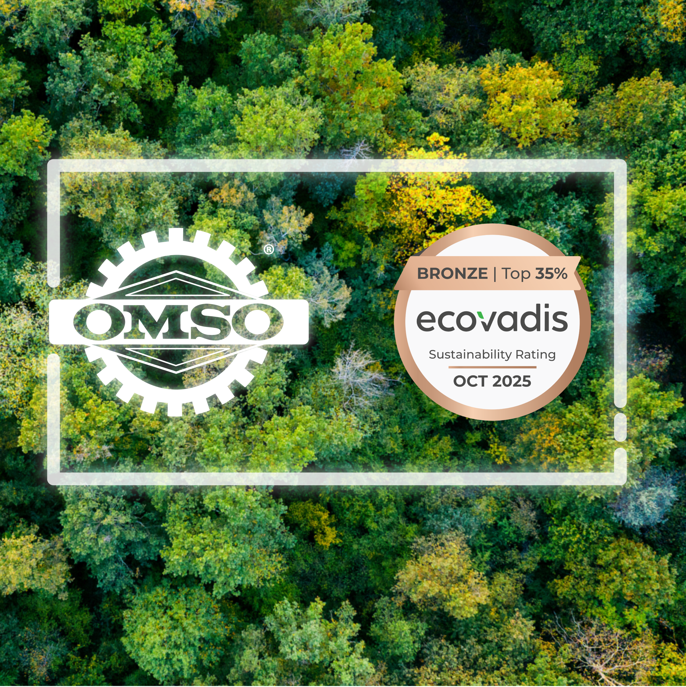 EcoVadis Bronze Medal OMSO